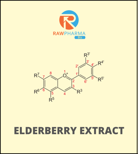 Elderberry extract 1 Kg Pack