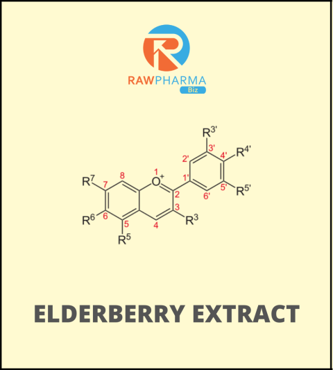Elderberry extract 25 Kg Pack